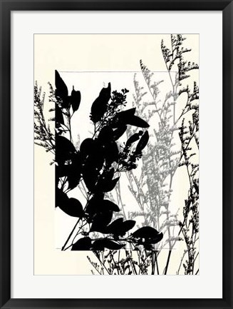 Framed Translucent Wildflowers IX Print