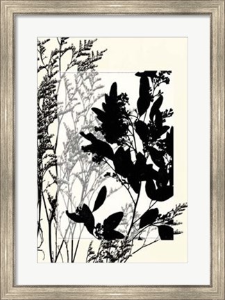 Framed Translucent Wildflowers X Print