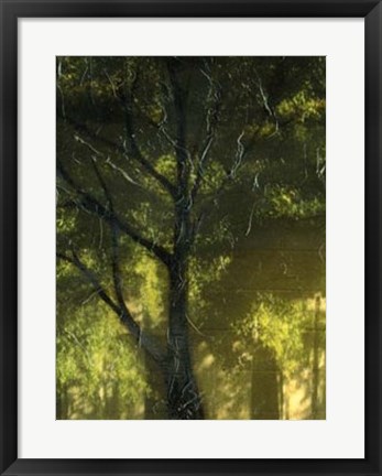 Framed Shaded Reflection I Print