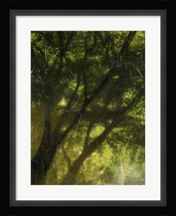 Framed Shaded Reflection II Print