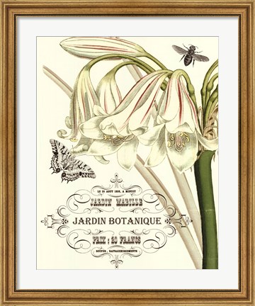 Framed Jardin Botanique I Print