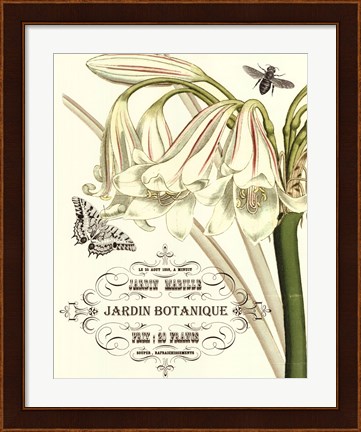 Framed Jardin Botanique I Print