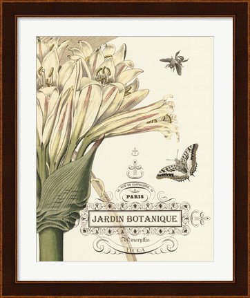 Framed Jardin Botanique II Print