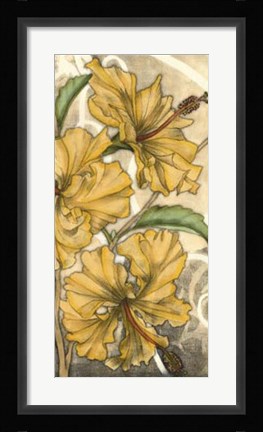 Framed Hibiscus Song II Print