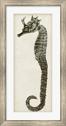Framed Vintage Seahorse I Print