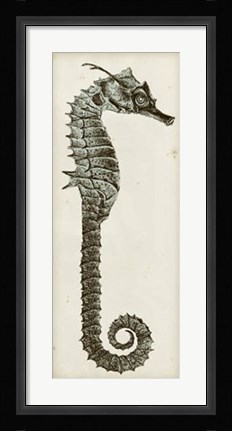Framed Vintage Seahorse II Print
