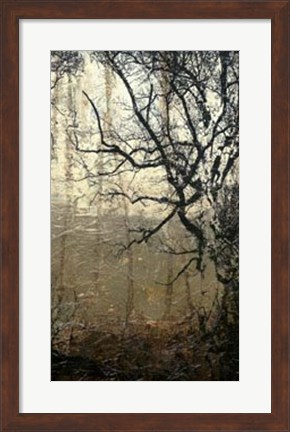 Framed Wooded Solace III Print