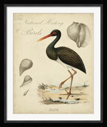 Framed Heron Anthology I Print