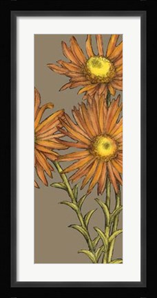 Framed Graphic Flower Panel I Print