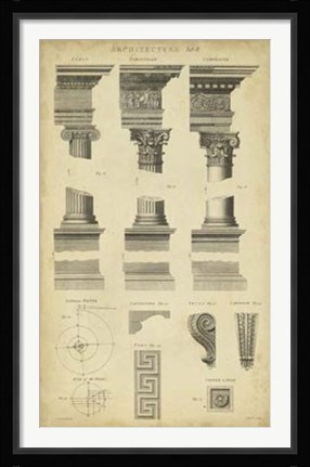 Framed Encyclopediae III Print