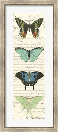 Framed Butterfly Prose Panel II Print