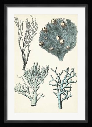 Framed Oversize Coral Species II Print