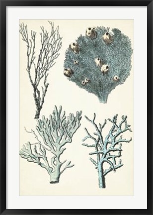 Framed Oversize Coral Species II Print