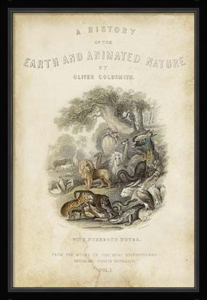 Framed Earth &amp; Animated Nature Print