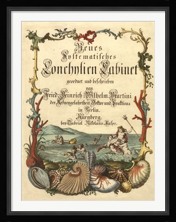 Framed Cabinet of Conchology Print