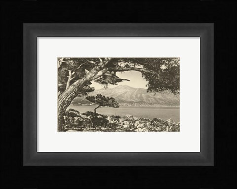 Framed Summer in France IV Print