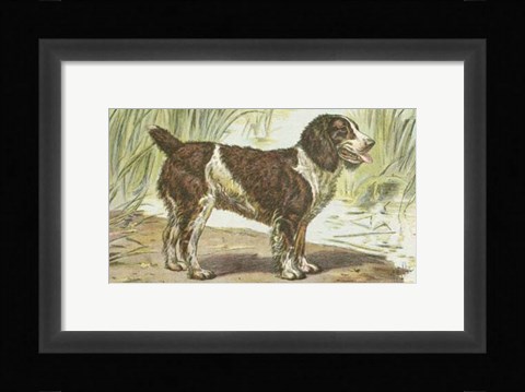Framed Man's Best Friend IV Print