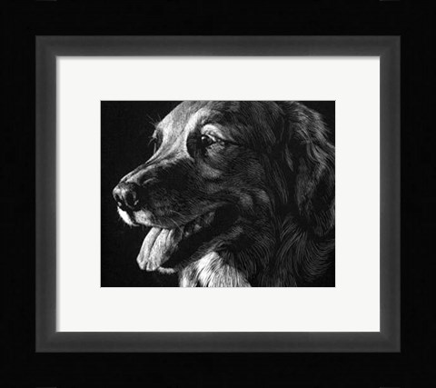 Framed Canine Scratchboard XIV Print