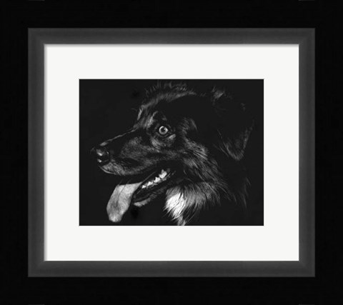 Framed Canine Scratchboard XIV - black Print