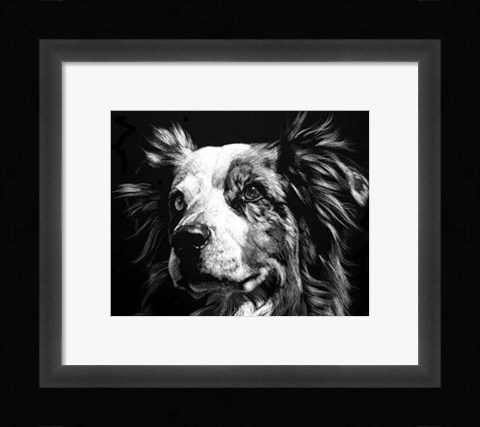 Framed Canine Scratchboard XX Print