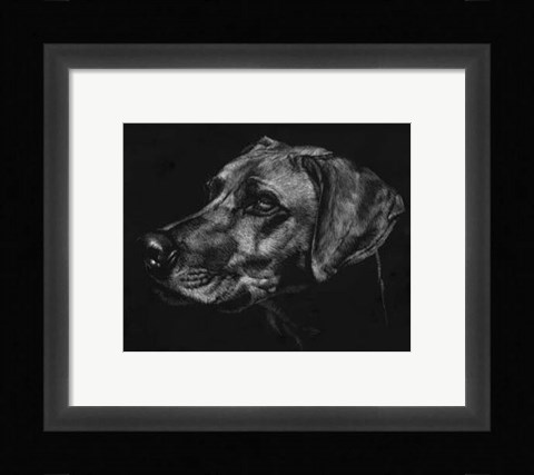 Framed Canine Scratchboard XXVIII Print