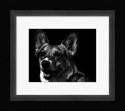 Framed Canine Scratchboard XXIX Print