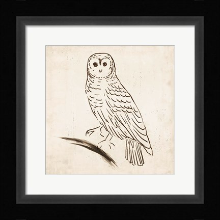 Framed Owl I Print