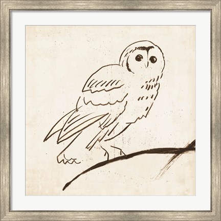 Framed Owl II Print