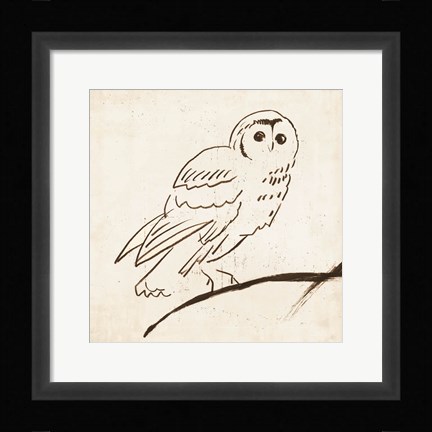 Framed Owl II Print