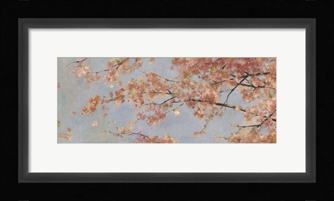 Framed Osaka Blossoms I Print