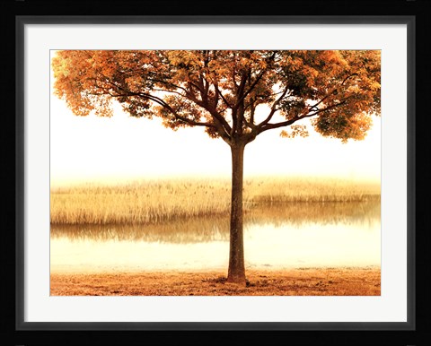 Framed Golden Morning I Print