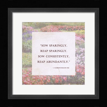 Framed Sow Sparingly - floral frame Print
