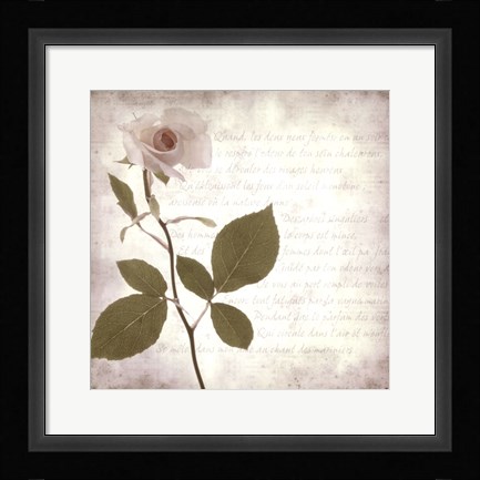 Framed Retro Rose Print