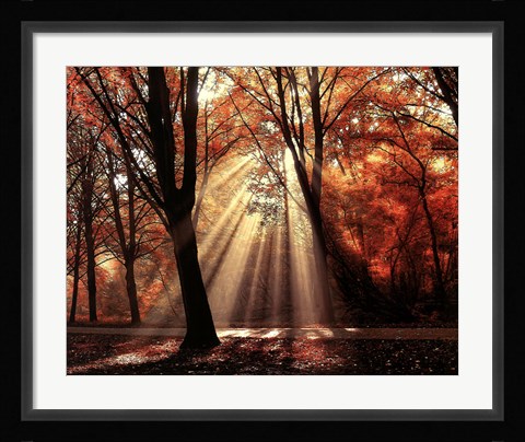 Framed Dressed to Shine Print