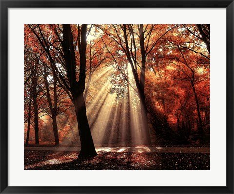 Framed Dressed to Shine Print