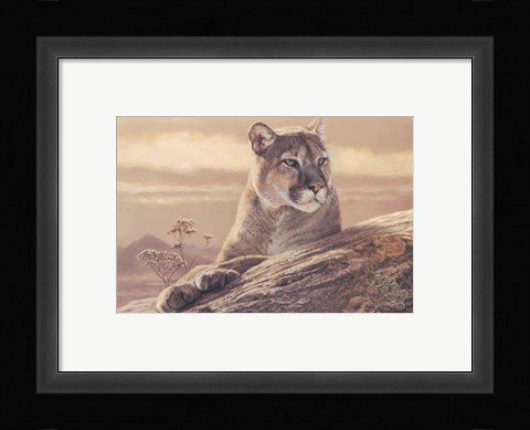 Framed Desert Sunrise Print