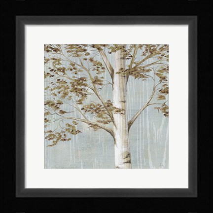 Framed Birch Study I Print