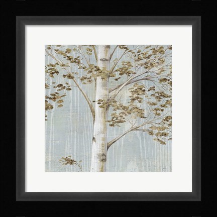 Framed Birch Study II Print