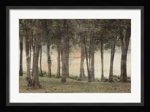 Framed Forest Print