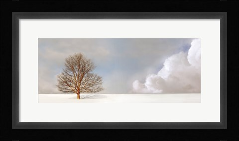 Framed Alone in the Whiteness Print