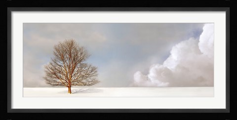 Framed Alone in the Whiteness Print