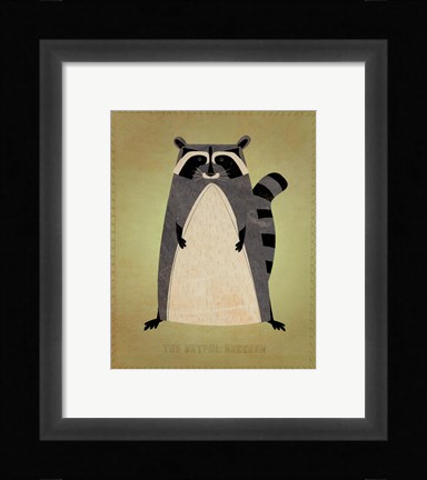 Framed Artful Raccoon Print