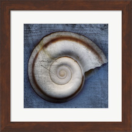 Framed Snail Print