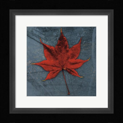 Framed Japanese Maple Print
