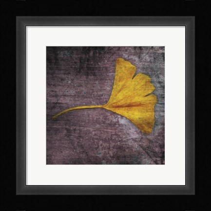 Framed Gingko 4 Print