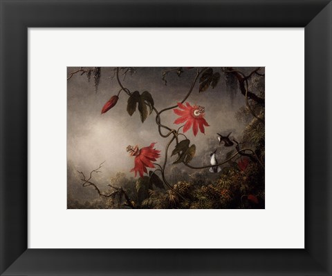 Framed Passion Flowers and Hummingbirds, about 1870-83 Print