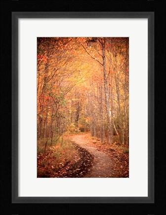 Framed Winding Autumn Path Print