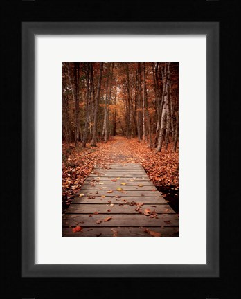 Framed Woodland Path Print