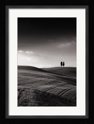 Framed Late Afternoon Sunset on Twin Cypresses Print