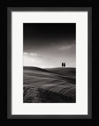 Framed Late Afternoon Sunset on Twin Cypresses Print